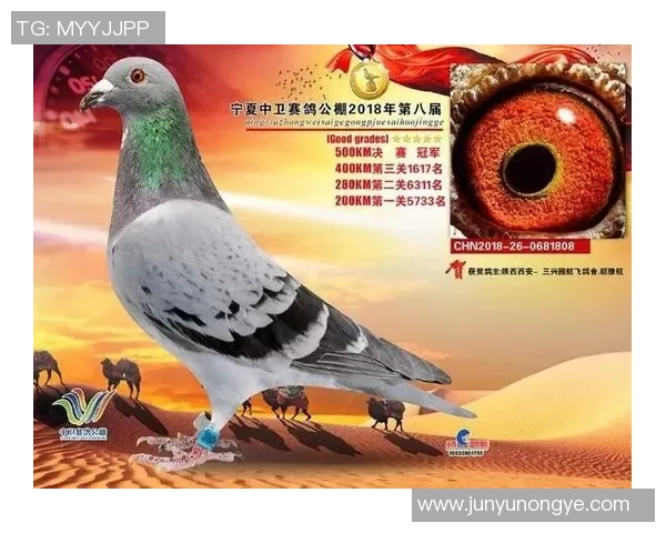 广州篮球队精英赛之路:从艰辛起步到辉煌成就的奋斗历程 广州篮球队精英赛之路:从艰辛起步到辉煌成就的奋斗历程