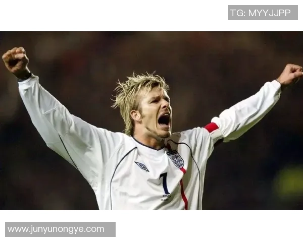 描绘足球巨星皮克的艺术之旅与激情瞬间 描绘足球巨星皮克的艺术之旅与激情瞬间