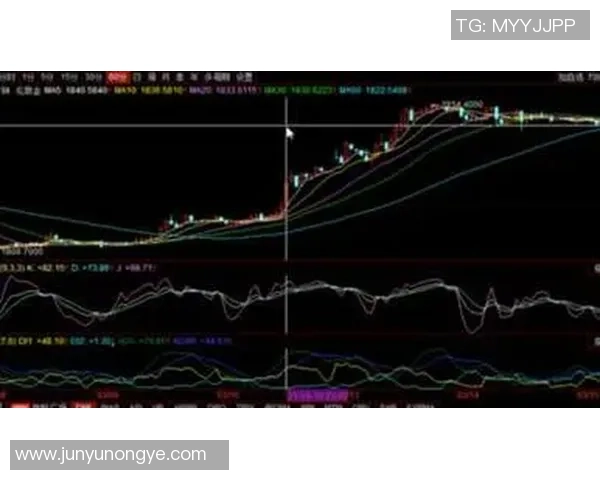 西安网球队防守策略解析与战术创新探讨 西安网球队防守策略解析与战术创新探讨