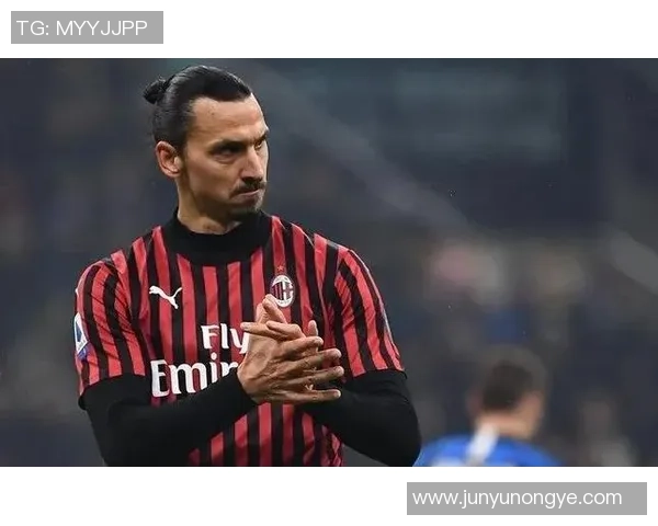 足球明星中后卫伊布的传奇职业生涯与场上风采解析 足球明星中后卫伊布的传奇职业生涯与场上风采解析