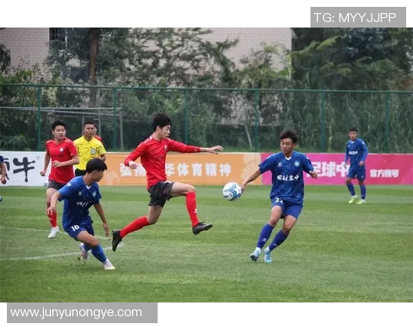 足球明星齐聚南京奥体盛典引领激情与梦想的足球之旅