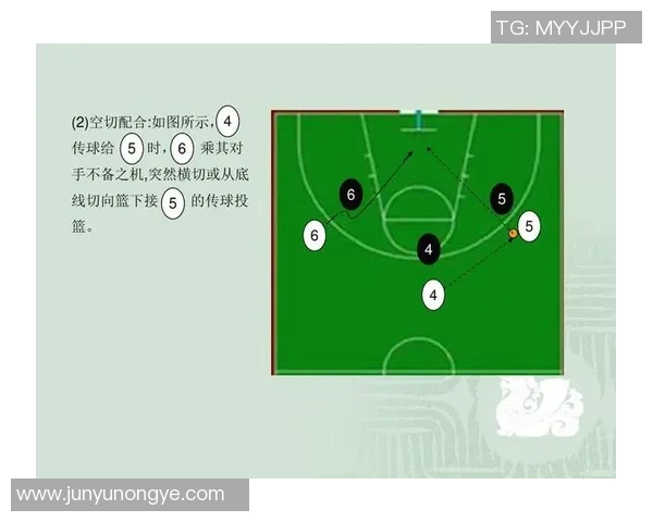 上海篮球队区域防守战术解析与实战应用探讨