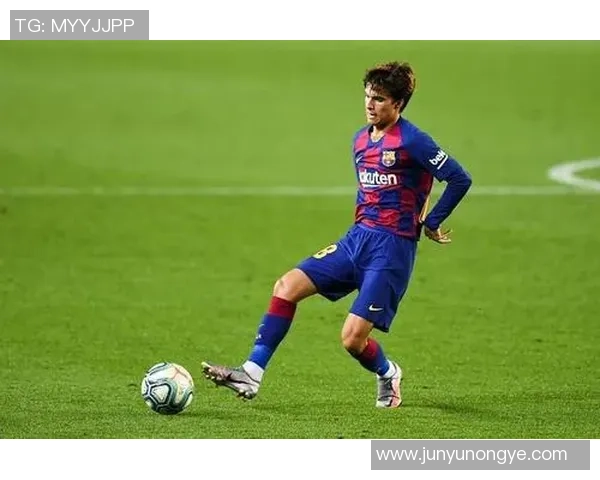 回弹强的足球明星们如何在逆境中重塑辉煌与激情