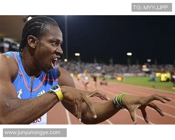 成都排球队在钻石联赛中的实力展现与未来发展潜力分析