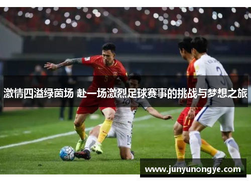 激情四溢绿茵场 赴一场激烈足球赛事的挑战与梦想之旅