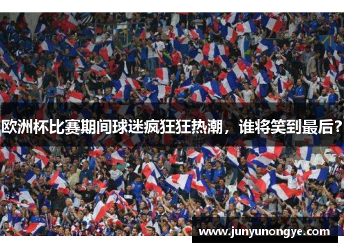 欧洲杯比赛期间球迷疯狂狂热潮，谁将笑到最后？