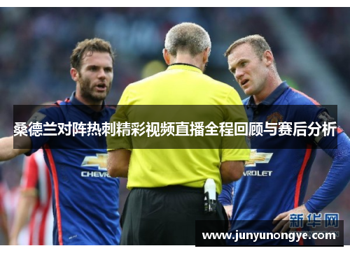 桑德兰对阵热刺精彩视频直播全程回顾与赛后分析