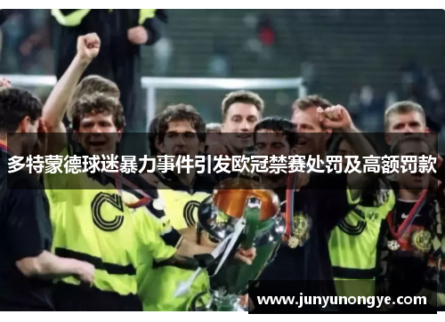 多特蒙德球迷暴力事件引发欧冠禁赛处罚及高额罚款